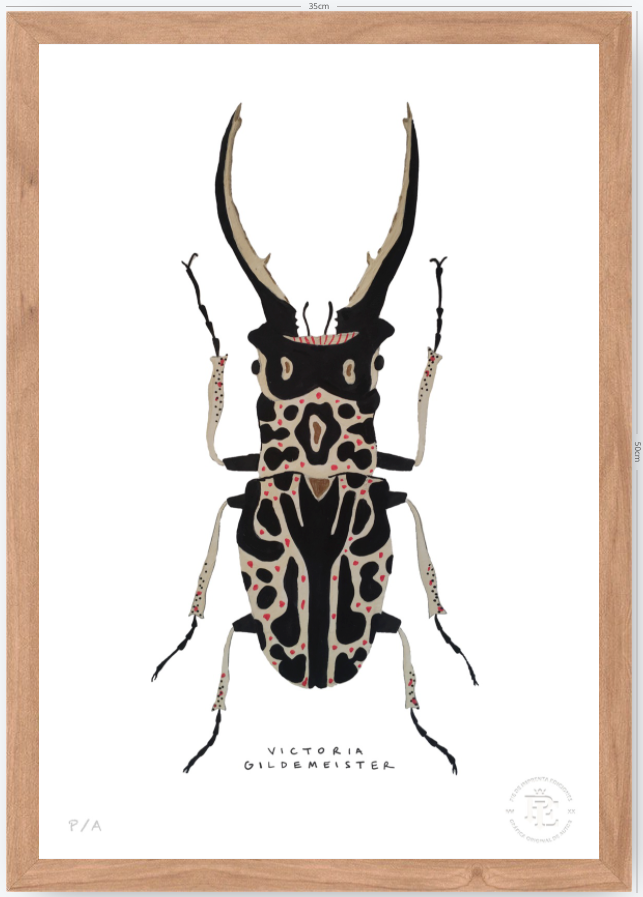 Escarabajo Macho - 33 x 48 cm