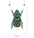 Escarabajo Verde Sicodélico - 33 x 48 cm