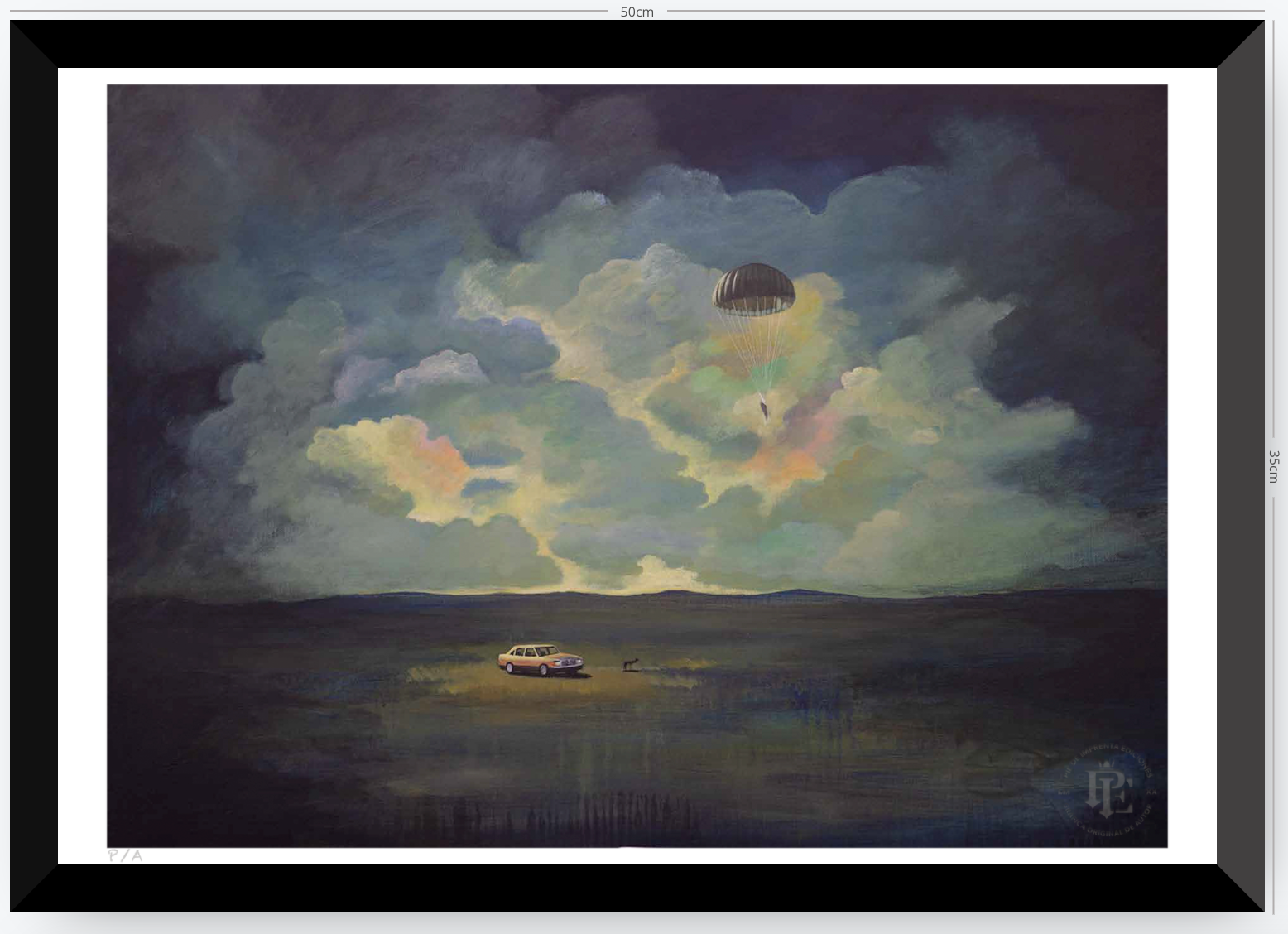Soul Delivery - 48 x 33 cm