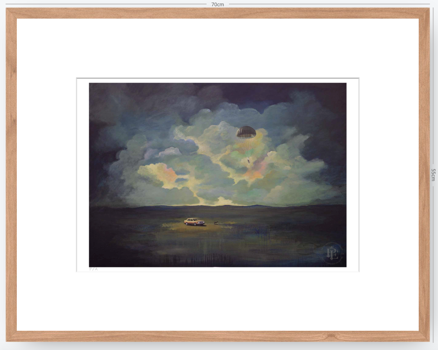 Soul Delivery - 48 x 33 cm