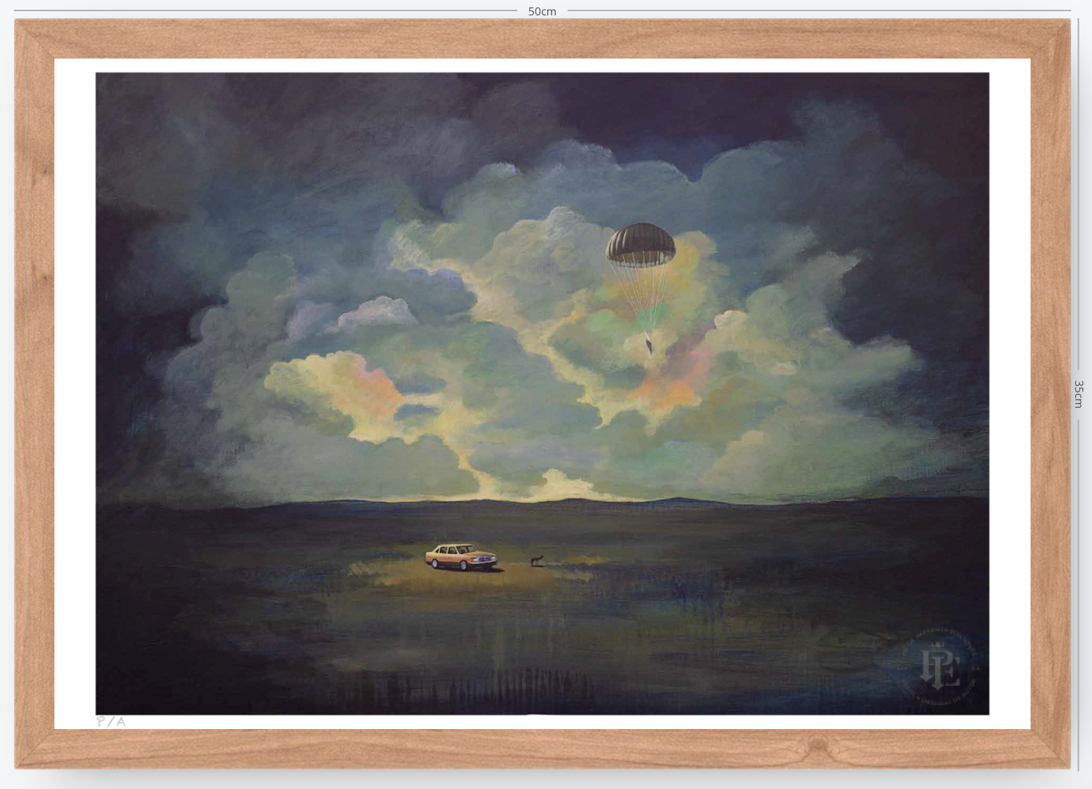 Soul Delivery - 48 x 33 cm