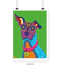 Xolo - 33 x 48 cm