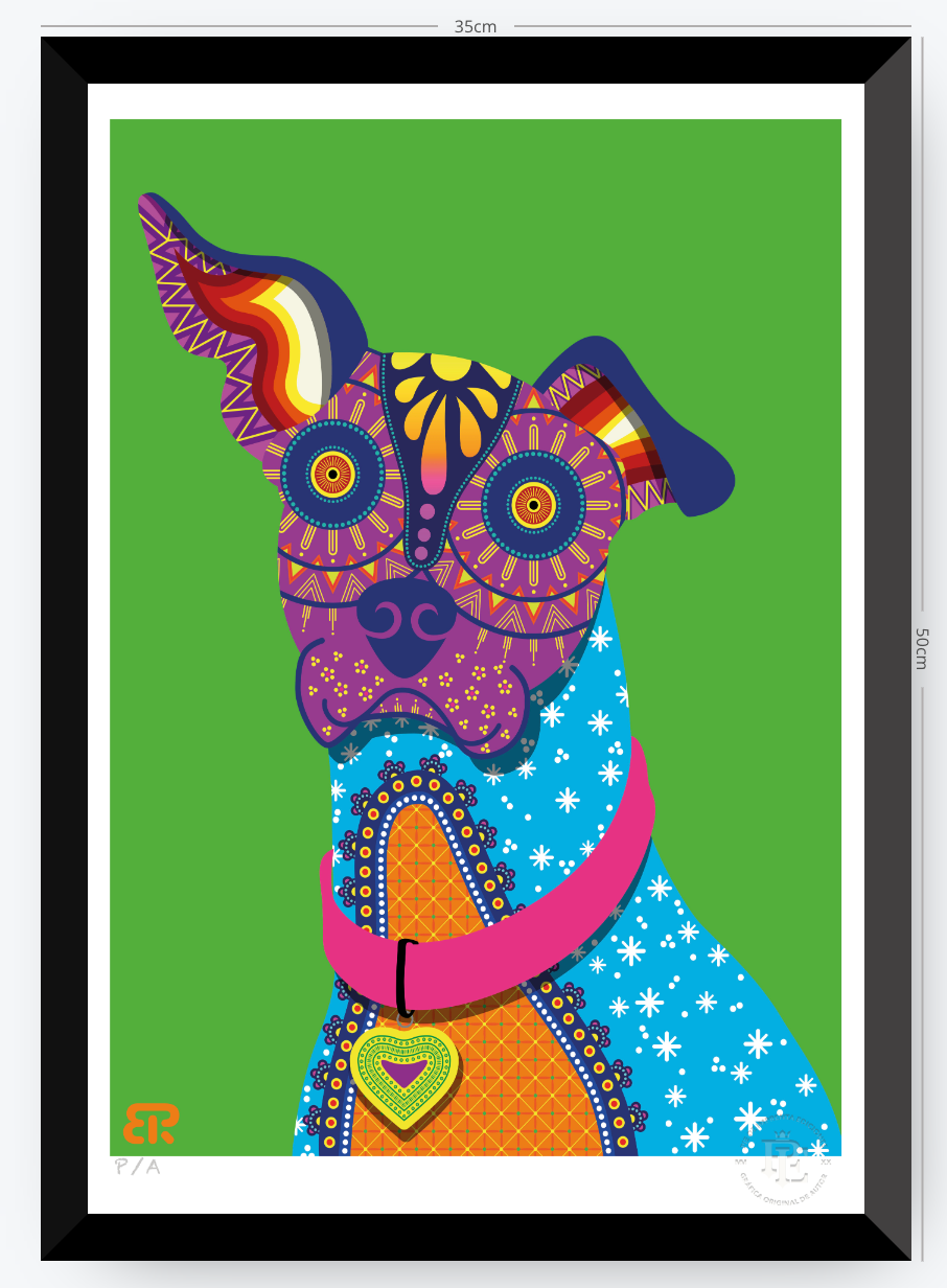 Xolo - 33 x 48 cm