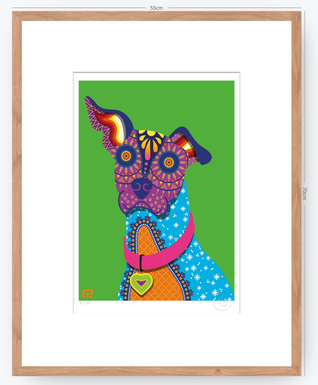 Xolo - 33 x 48 cm