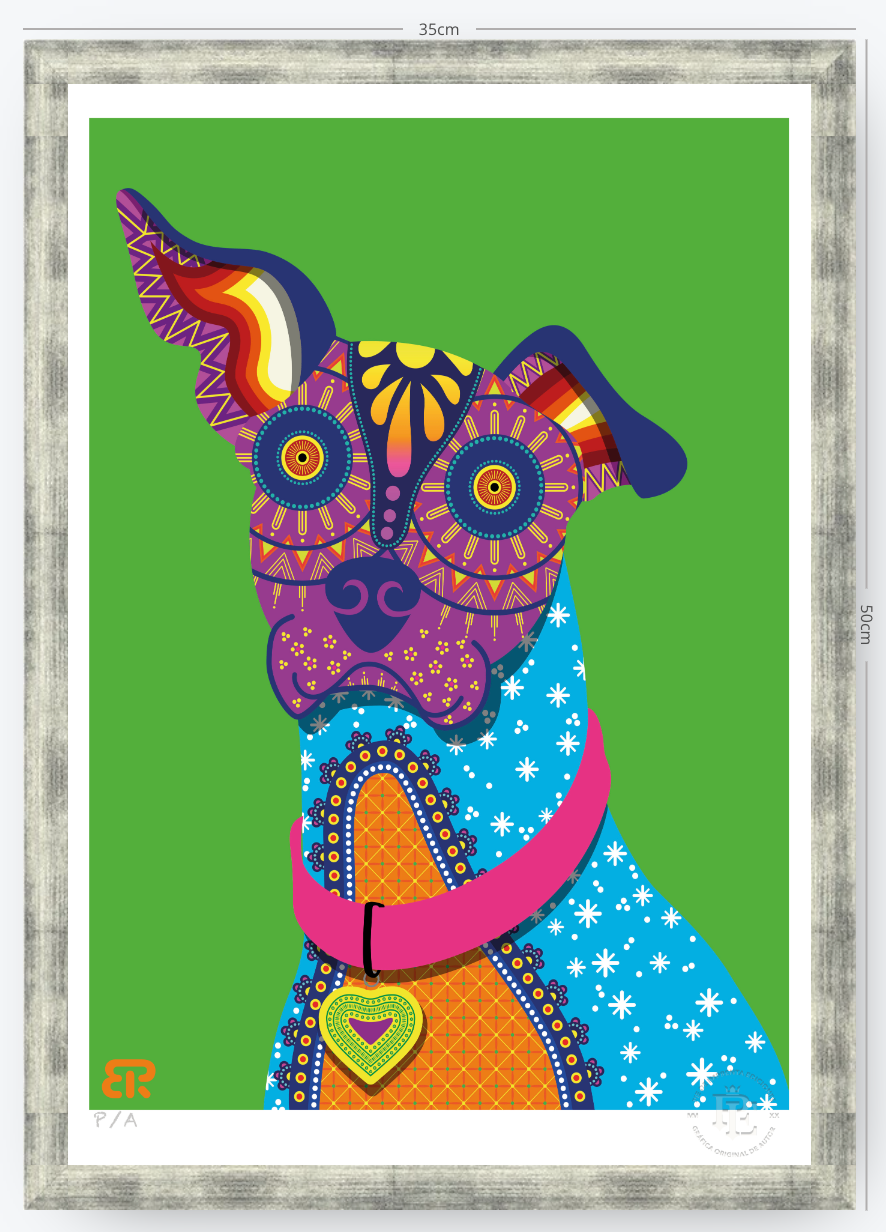 Xolo - 33 x 48 cm