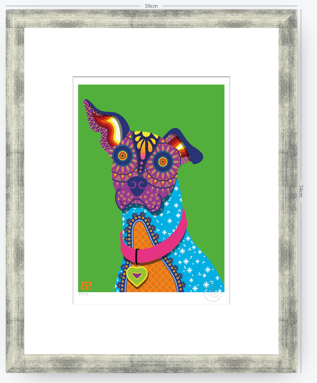 Xolo - 33 x 48 cm