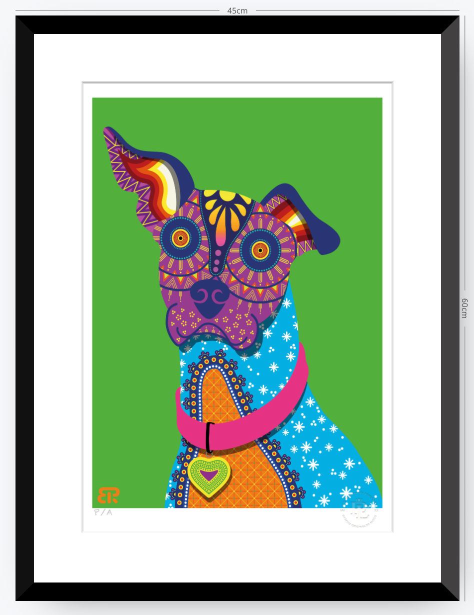 Xolo - 33 x 48 cm