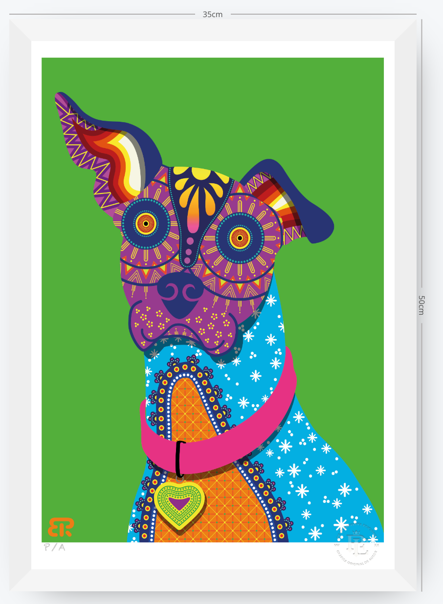 Xolo - 33 x 48 cm