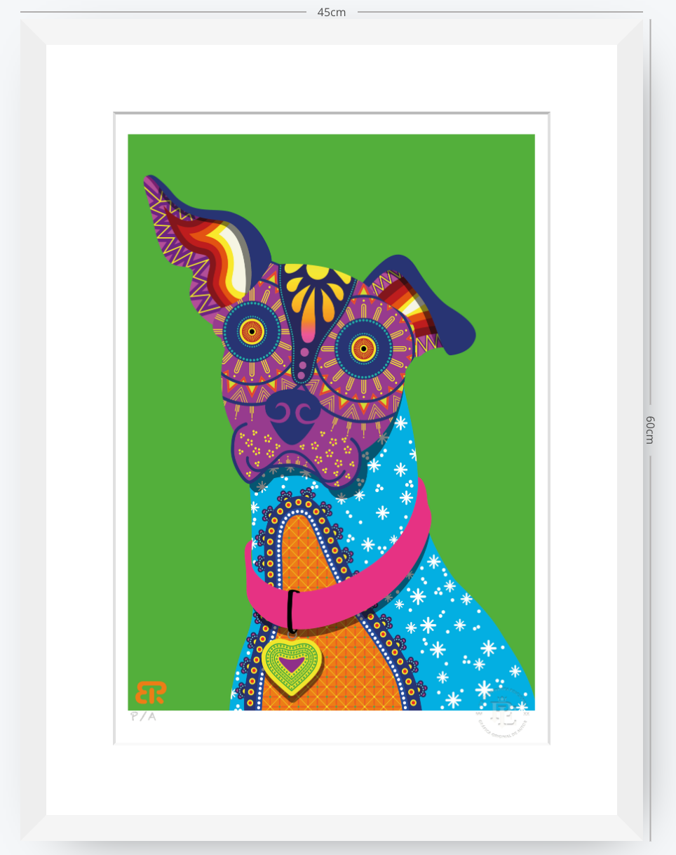 Xolo - 33 x 48 cm