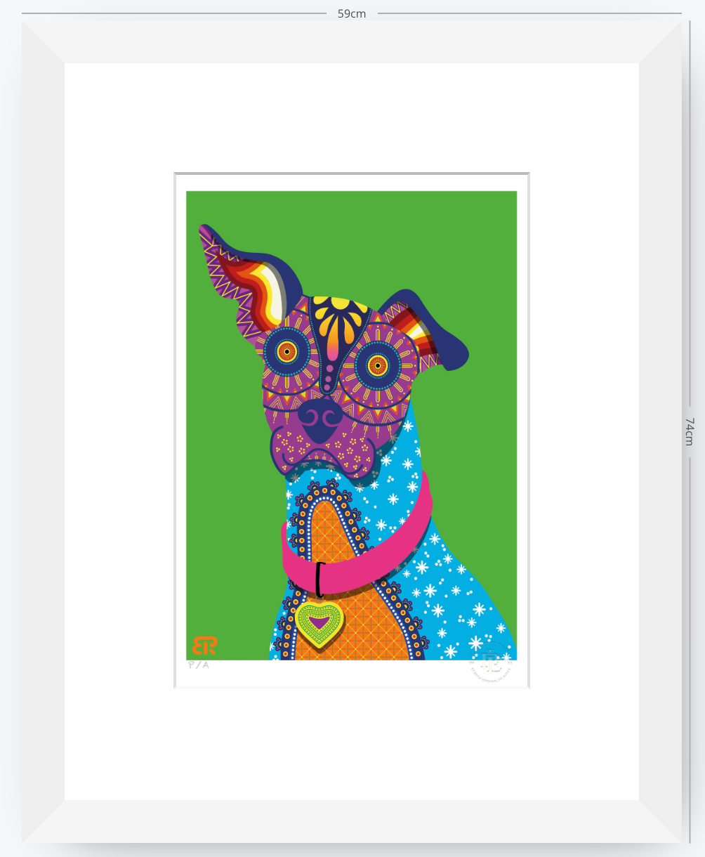 Xolo - 33 x 48 cm