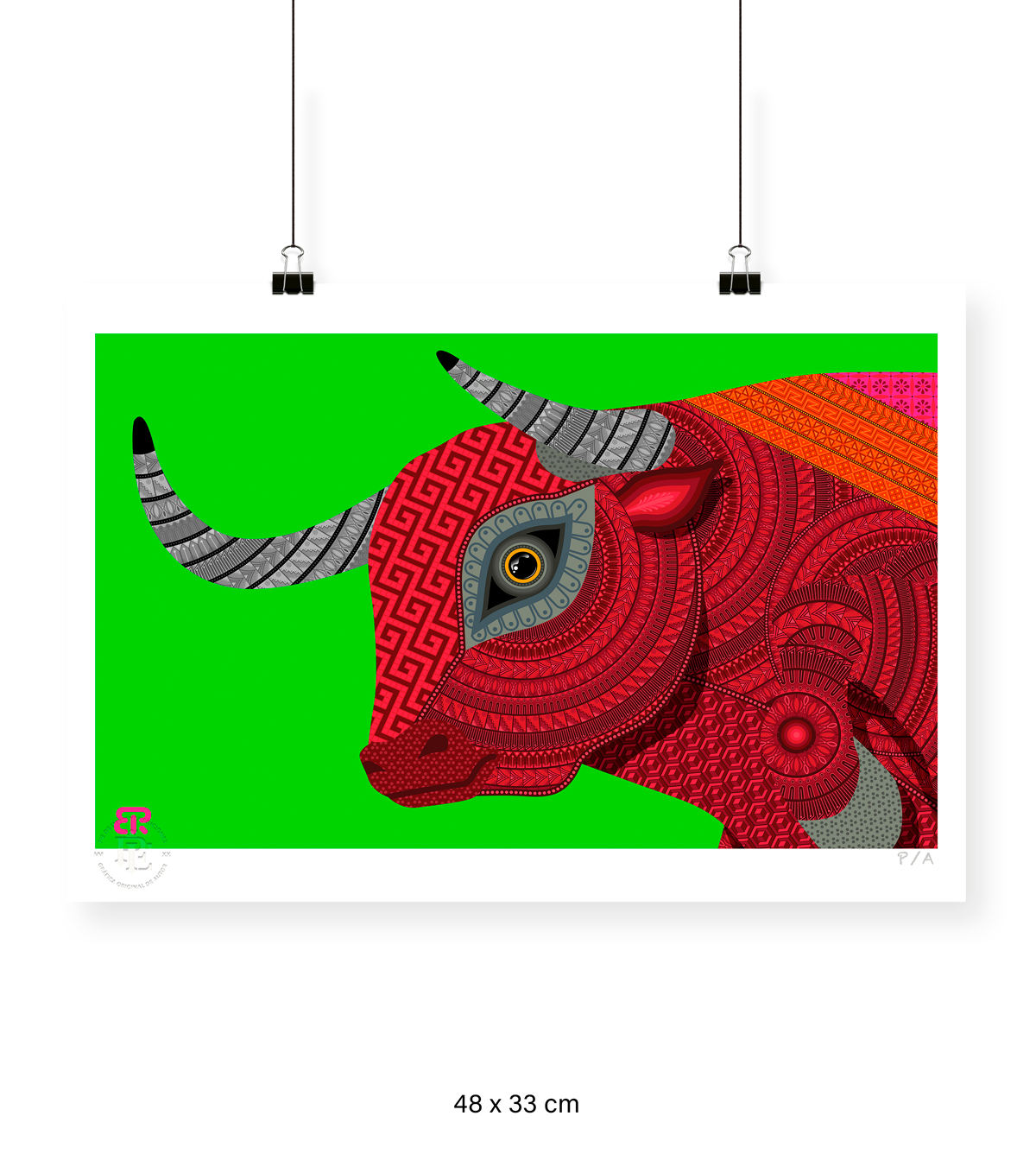 Vuelo del Pajarito - 48 x 33 cm