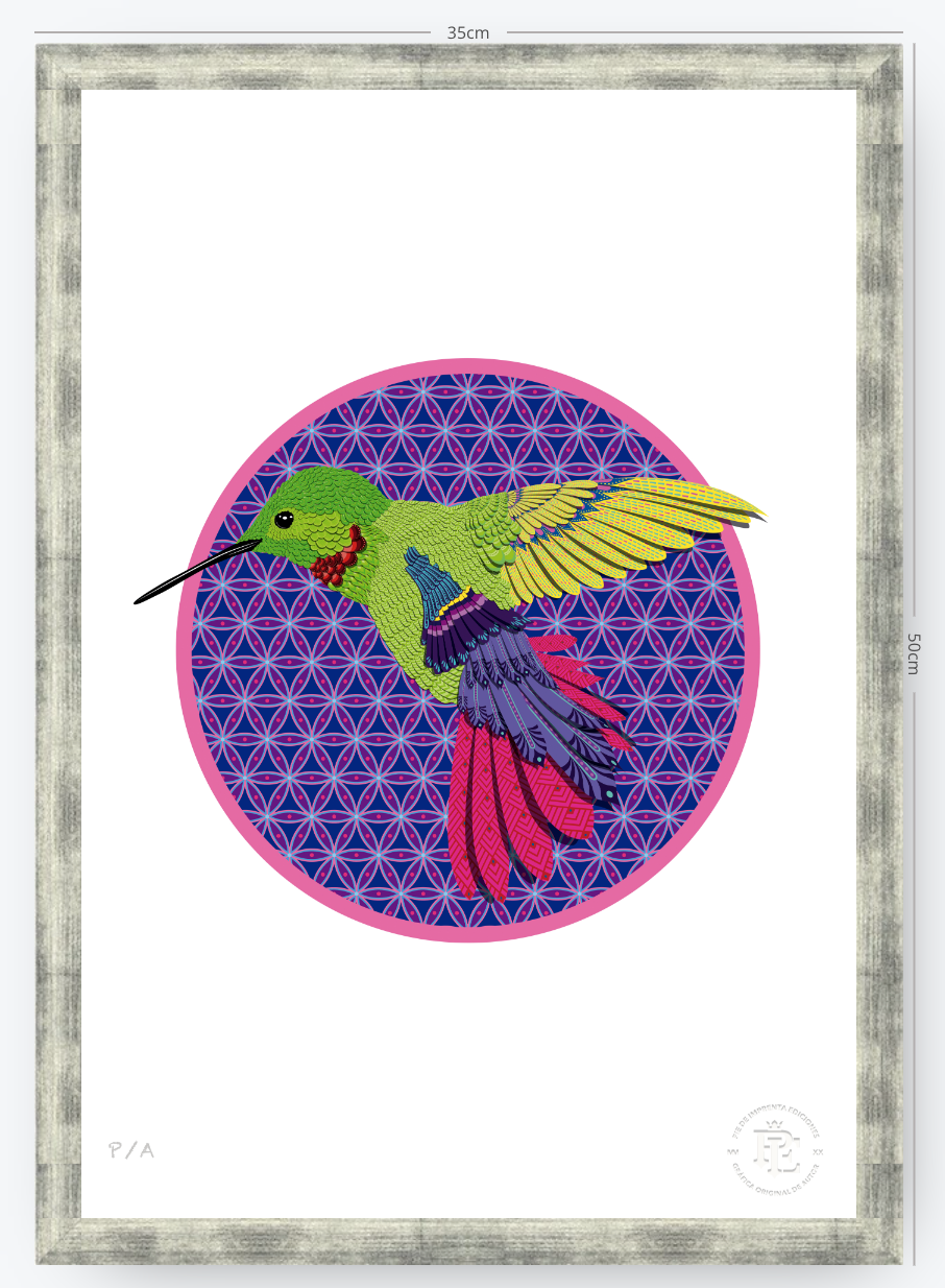 Chupa Rosas - 33 x 48 cm