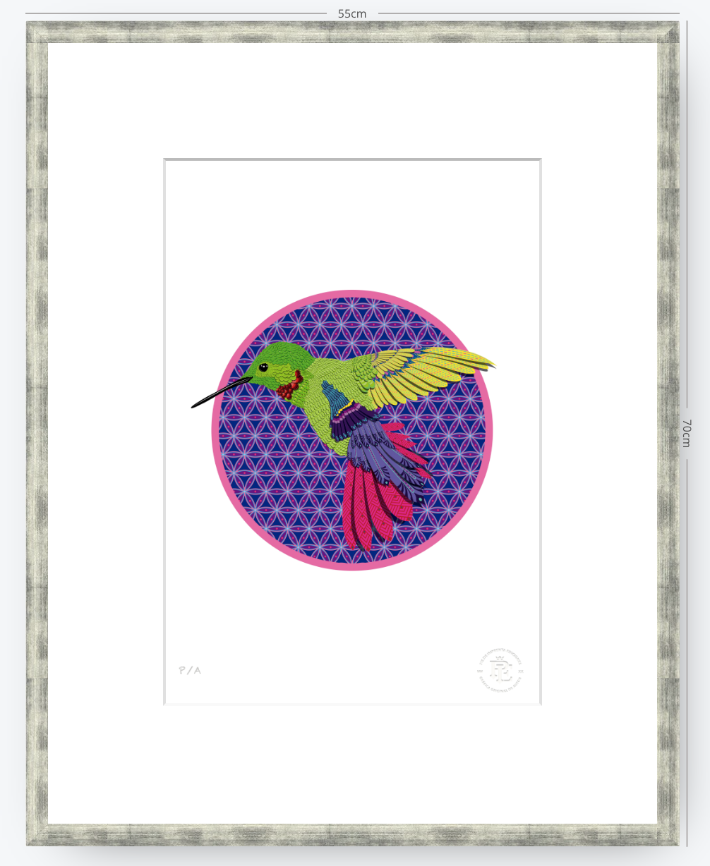 Chupa Rosas - 33 x 48 cm