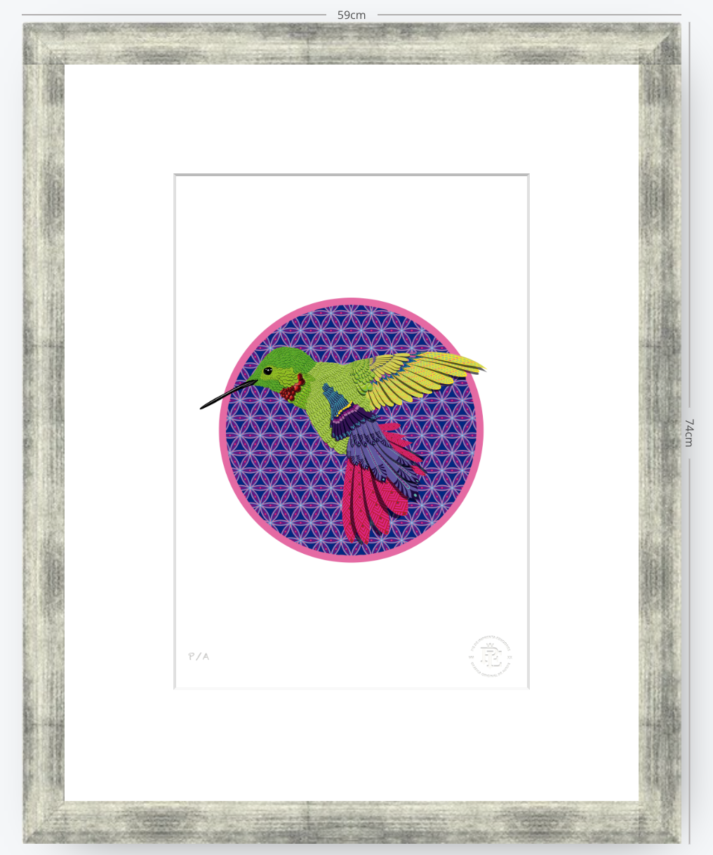 Chupa Rosas - 33 x 48 cm