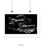 Socorro - 48 x 33 cm