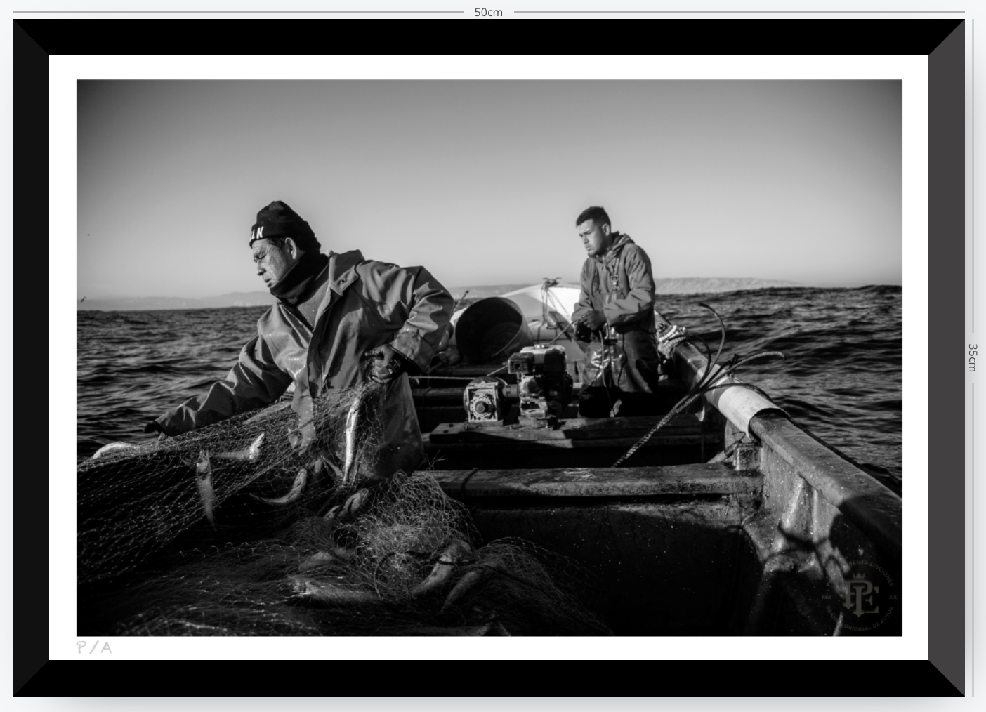 Pesca de la Merluza - 48 x 33 cm
