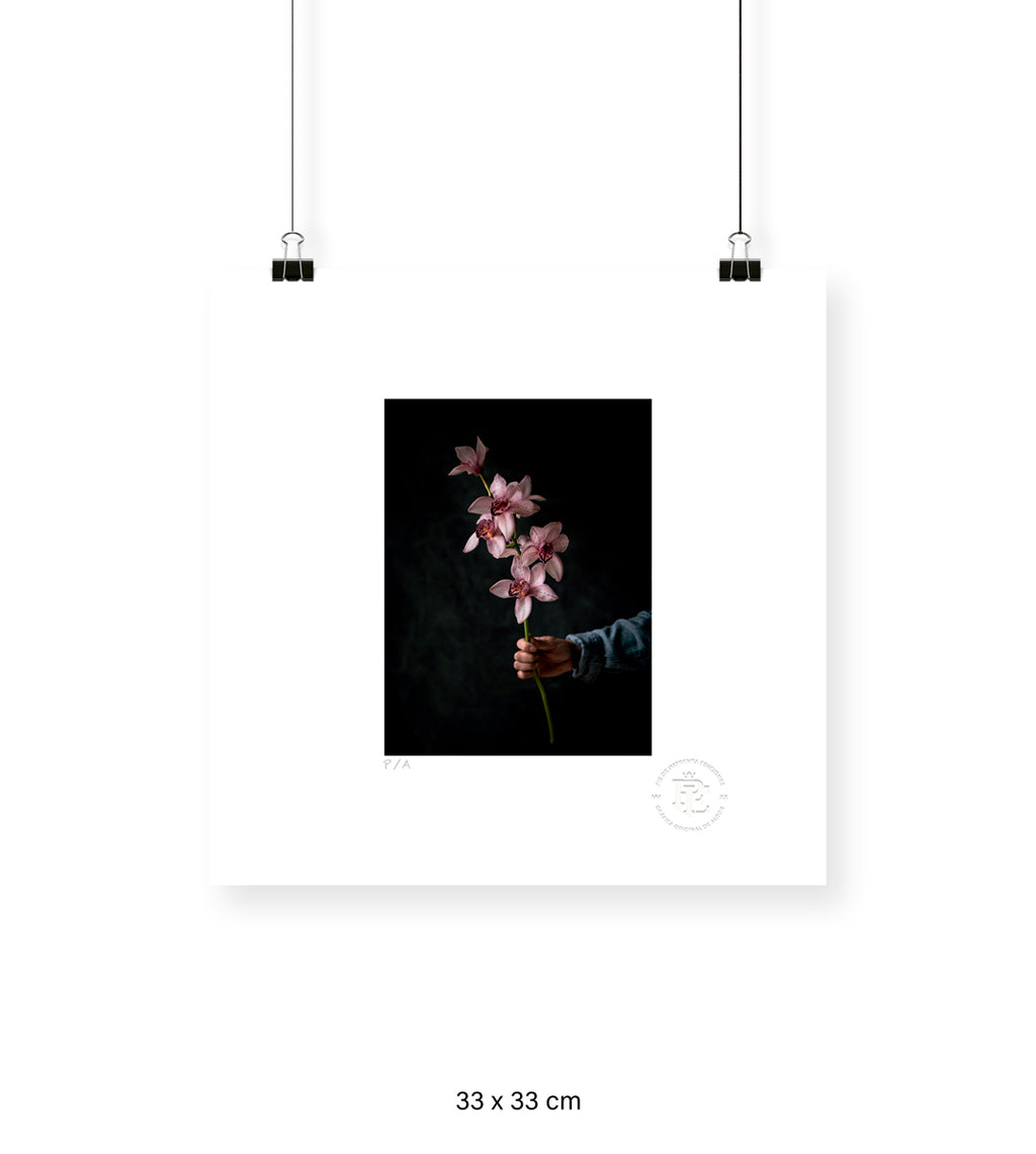 Bouquet Botánico I - 33 x 33 cm