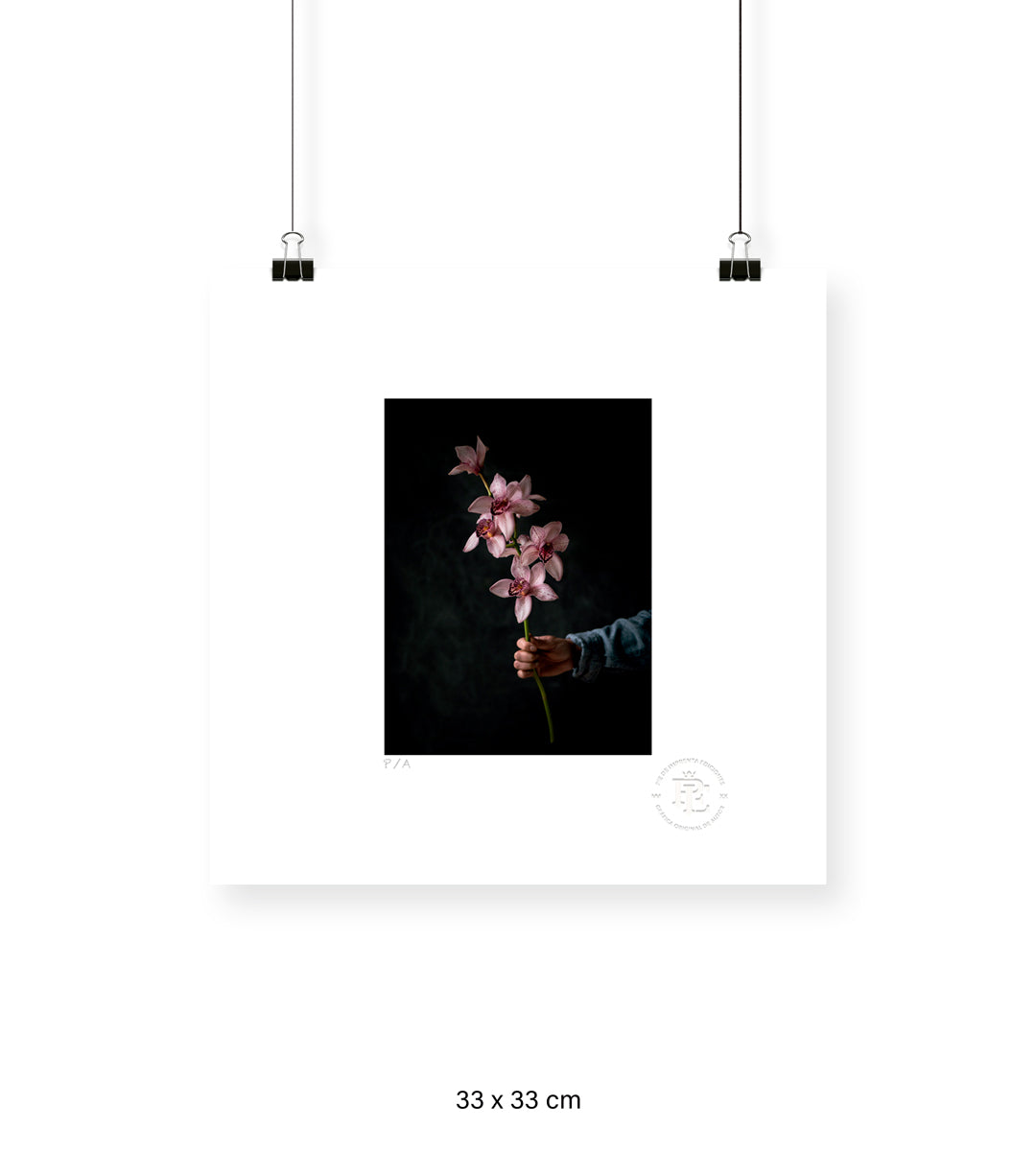Bouquet Botánico I - 33 x 33 cm