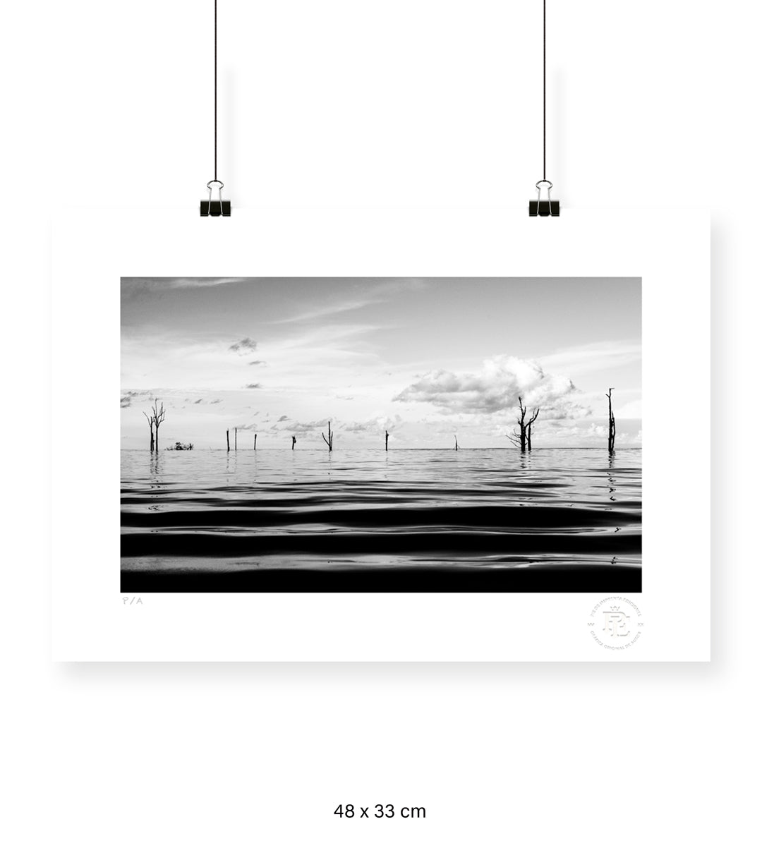 Manglar - 48 x 33 cm