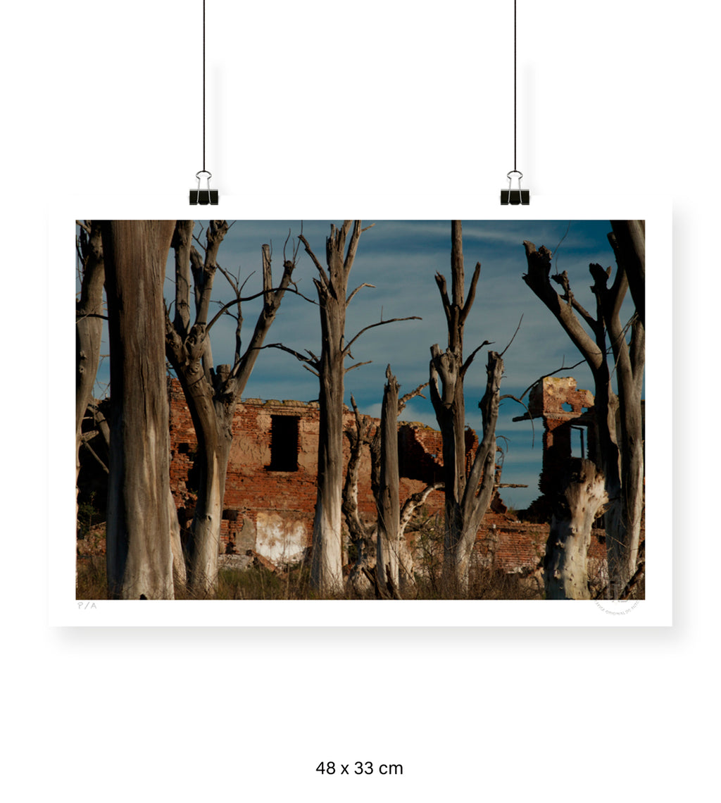 Paisaje Muerto - 48 x 33 cm