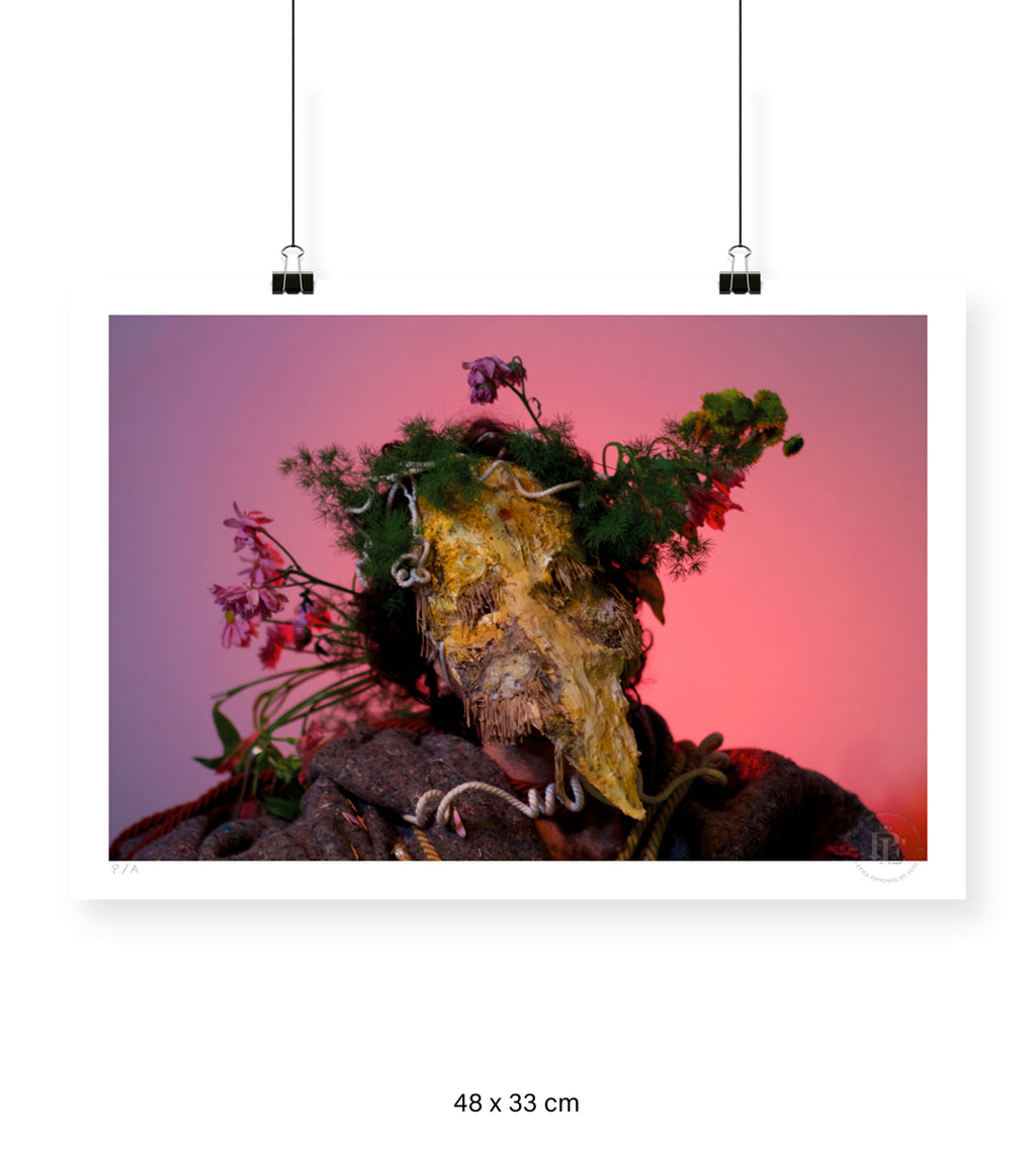 Vida e Rosa - 48 x 33 cm