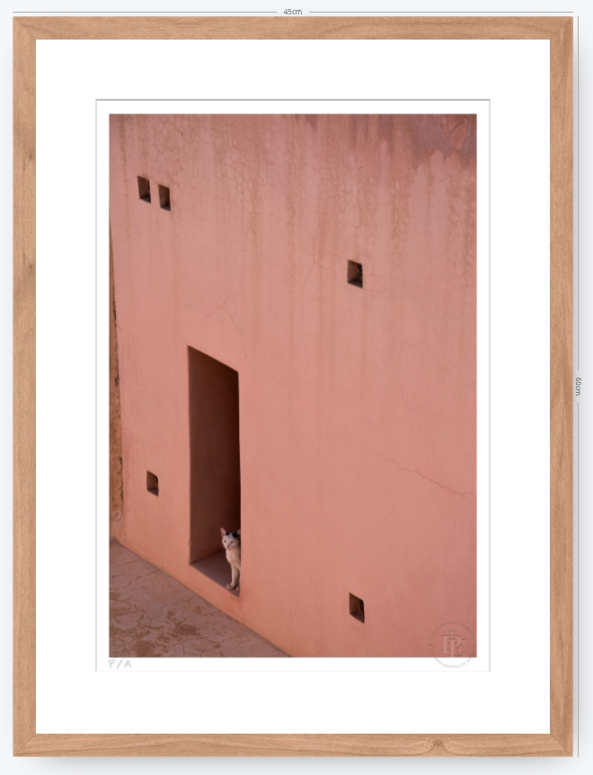 Gato, Dar Bellaj - 33 x 48 cm