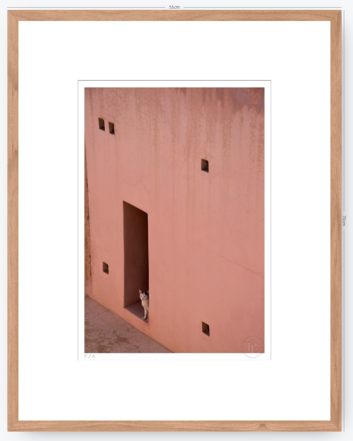 Gato, Dar Bellaj - 33 x 48 cm