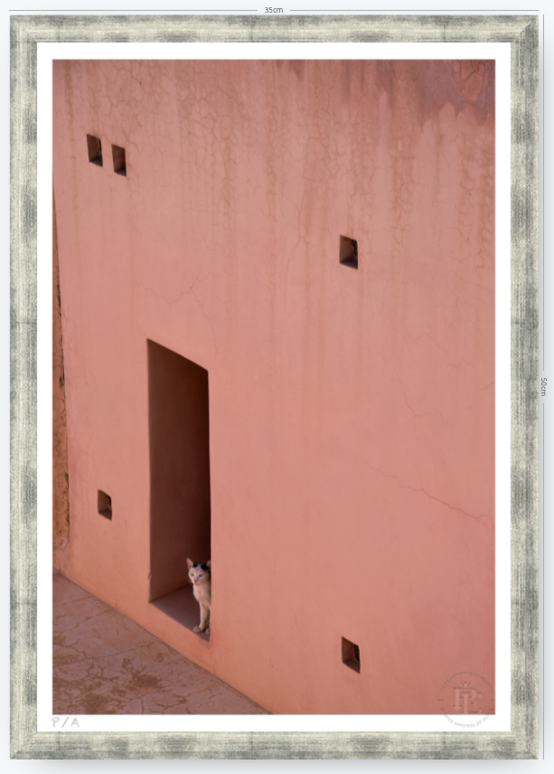 Gato, Dar Bellaj - 33 x 48 cm