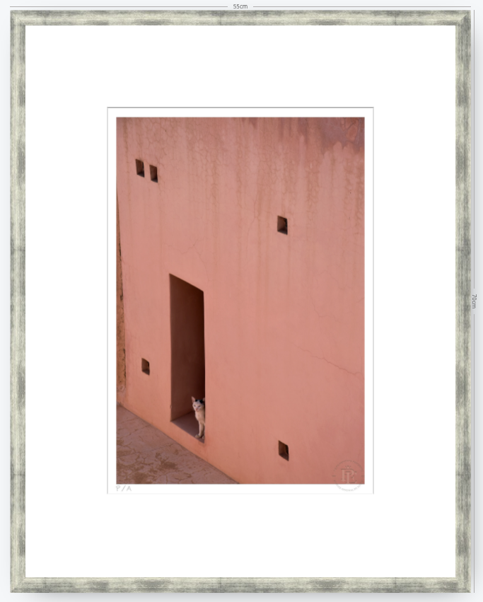 Gato, Dar Bellaj - 33 x 48 cm