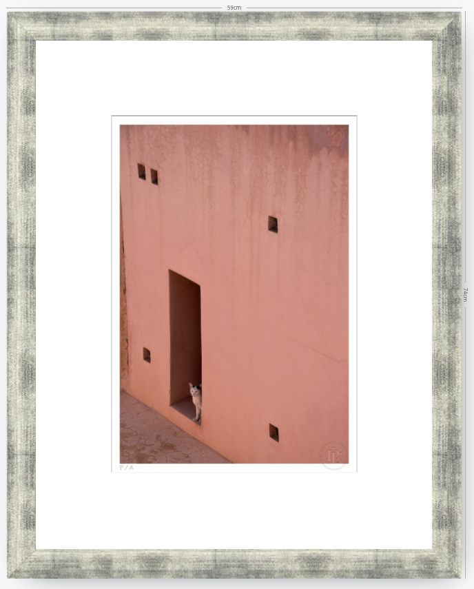 Gato, Dar Bellaj - 33 x 48 cm