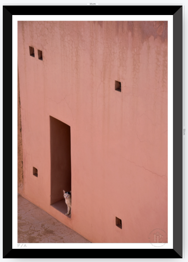 Gato, Dar Bellaj - 33 x 48 cm