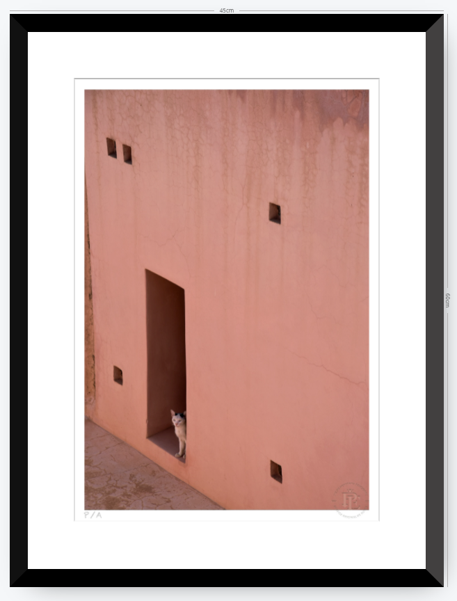 Gato, Dar Bellaj - 33 x 48 cm