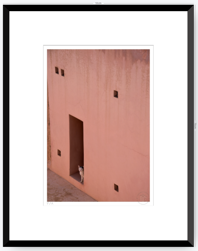 Gato, Dar Bellaj - 33 x 48 cm