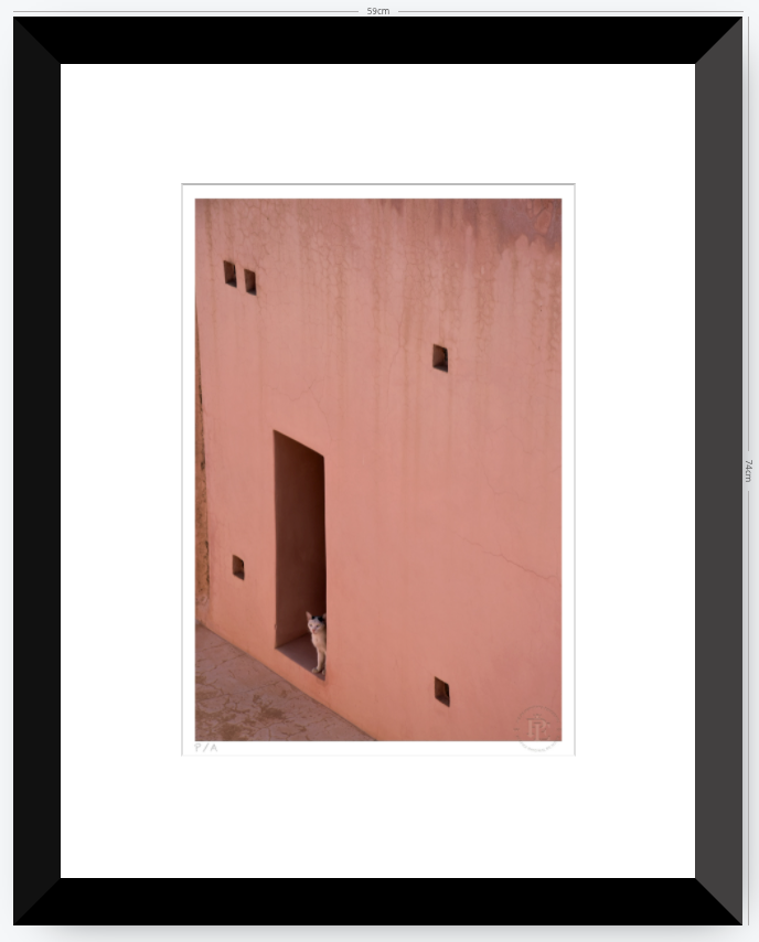 Gato, Dar Bellaj - 33 x 48 cm