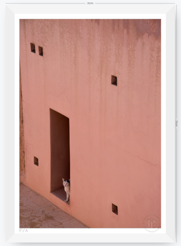 Gato, Dar Bellaj - 33 x 48 cm