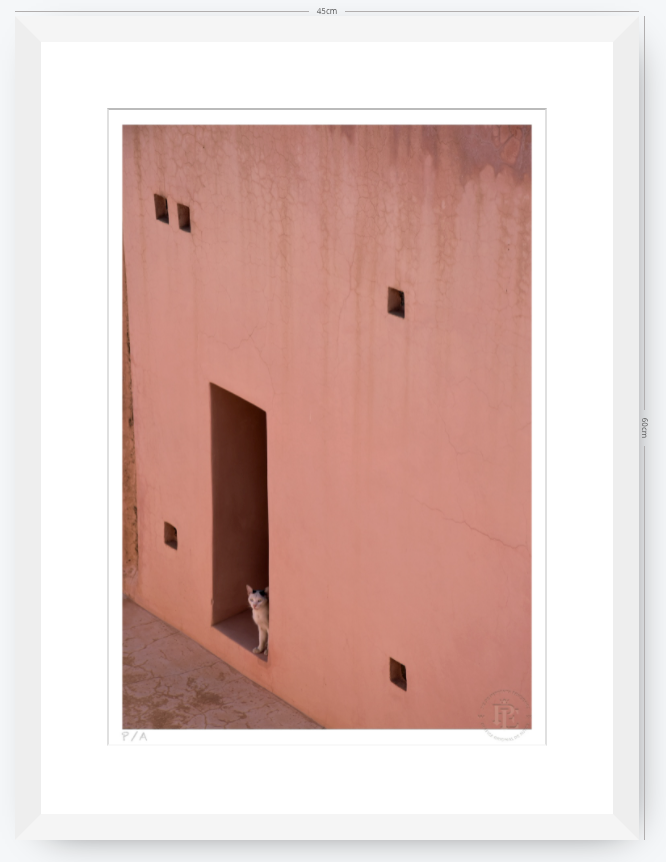 Gato, Dar Bellaj - 33 x 48 cm