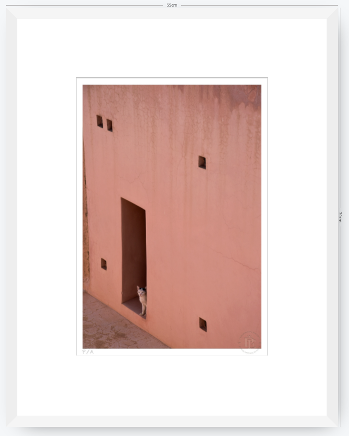 Gato, Dar Bellaj - 33 x 48 cm