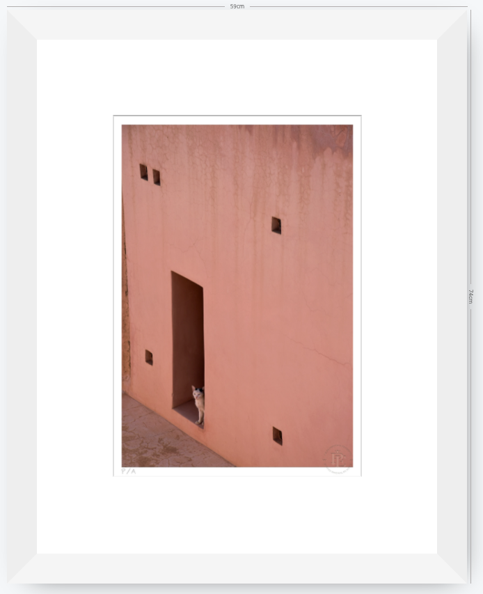 Gato, Dar Bellaj - 33 x 48 cm