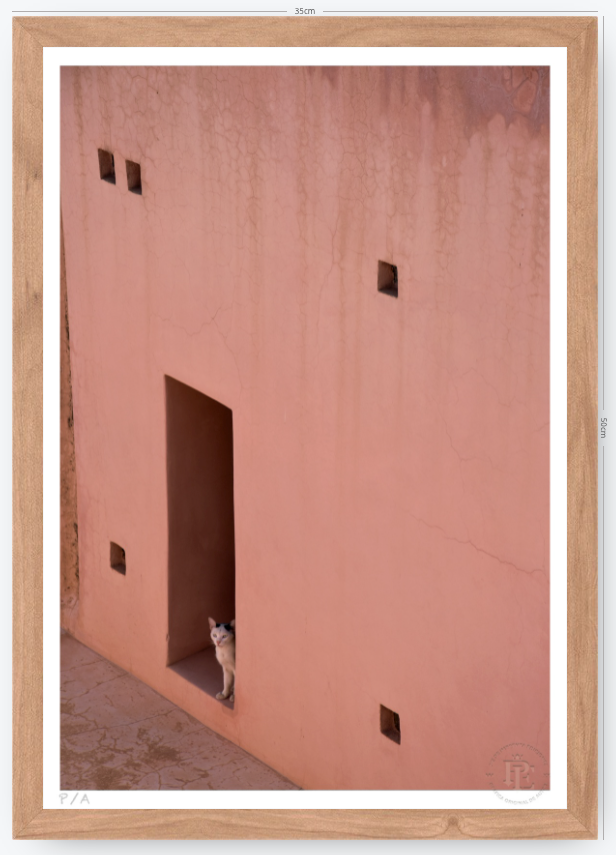 Gato, Dar Bellaj - 33 x 48 cm