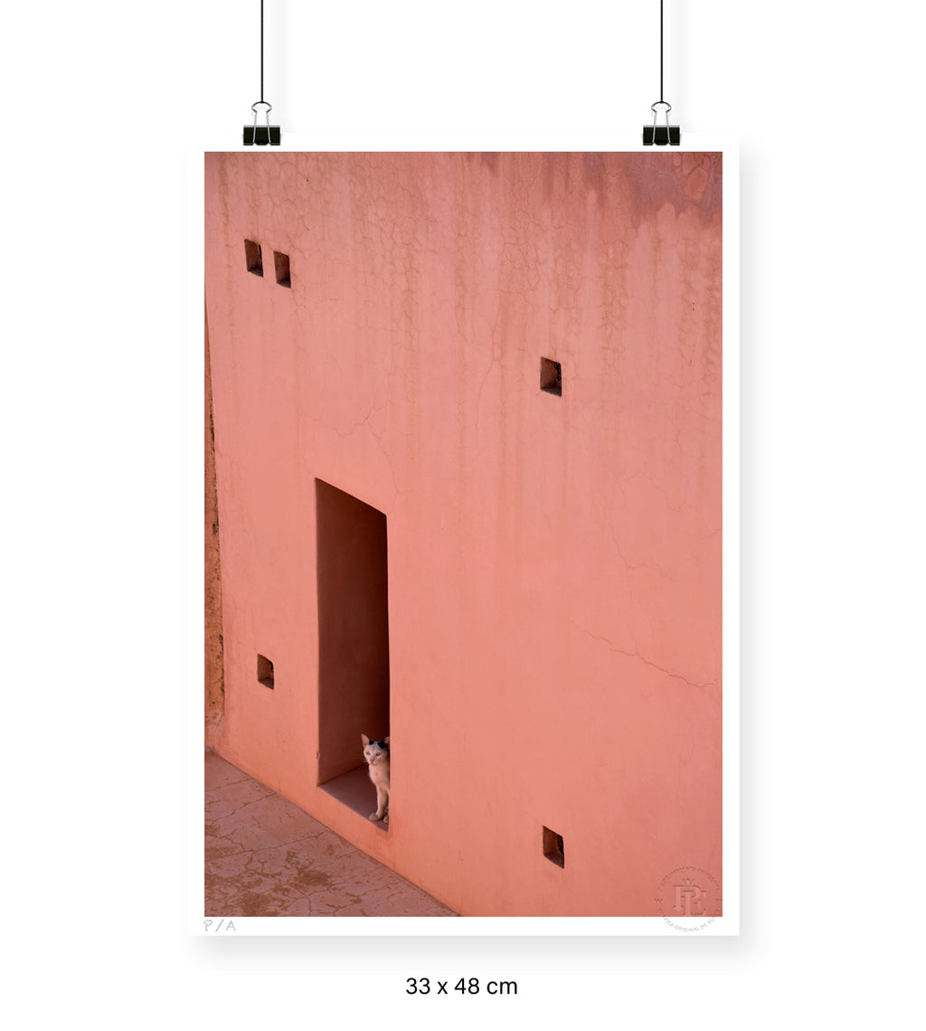 Gato, Dar Bellaj - 33 x 48 cm