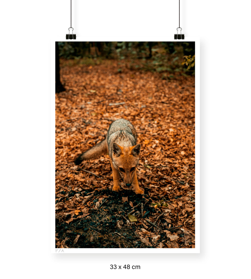 Reencuentro - 33 x 48 cm