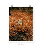 Reencuentro - 33 x 48 cm