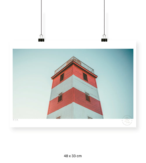Cabezón - 48 x 33 cm